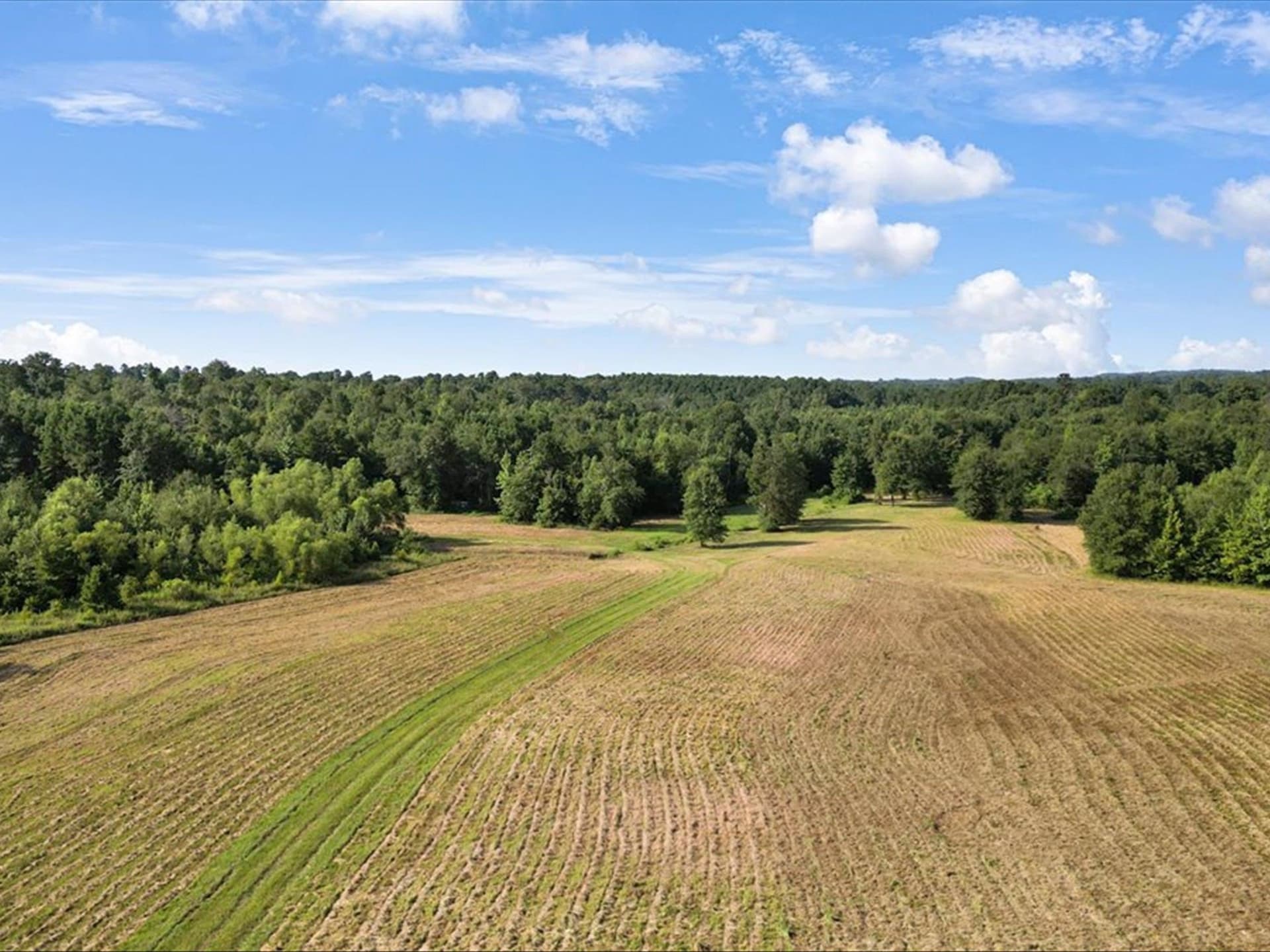 67 acres in Upshur County - photo 7