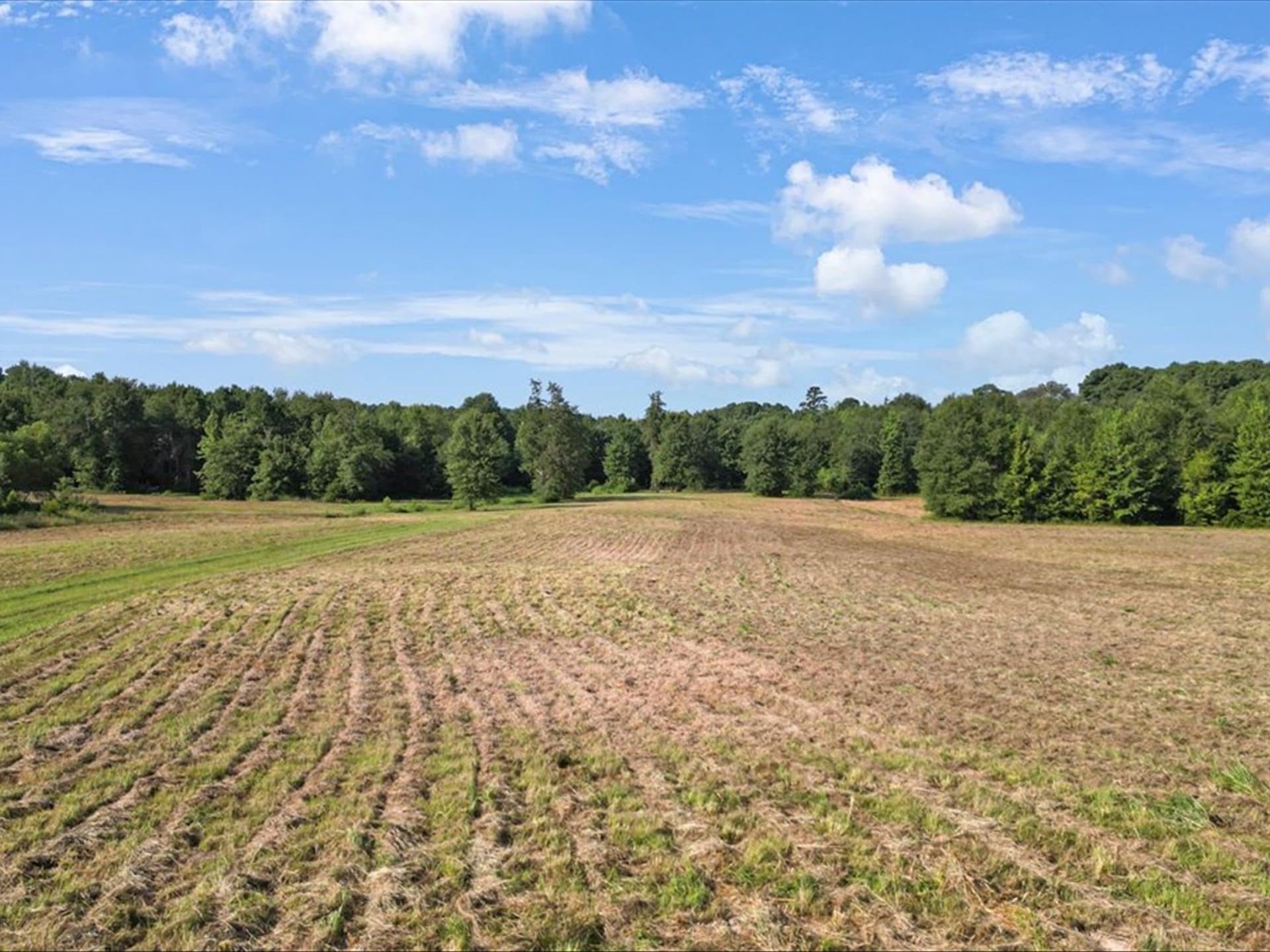67 acres in Upshur County - photo 9