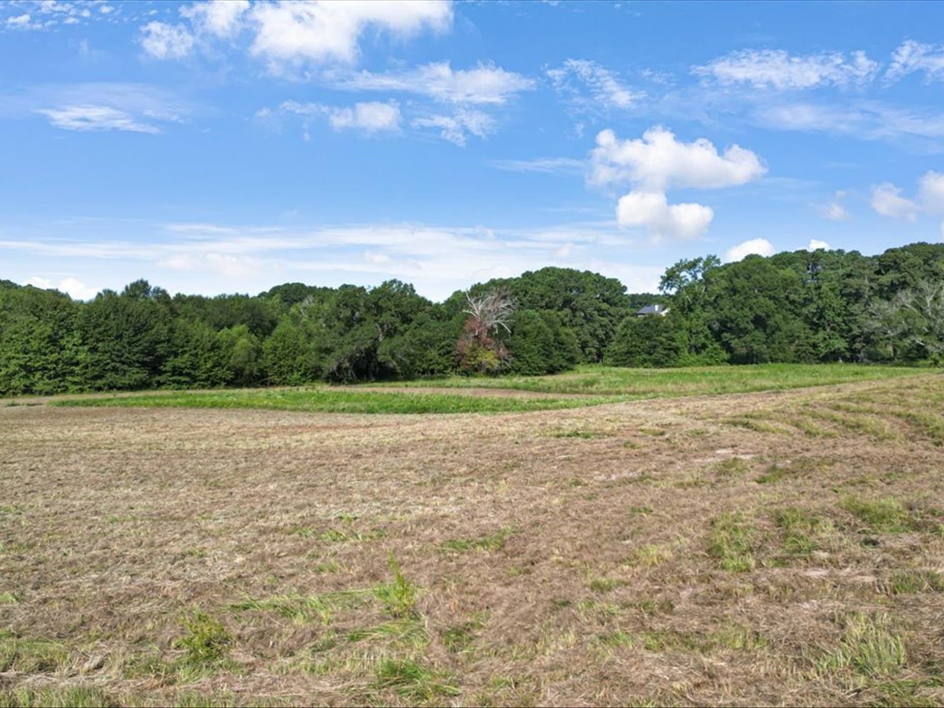67 acres in Upshur County - photo 8