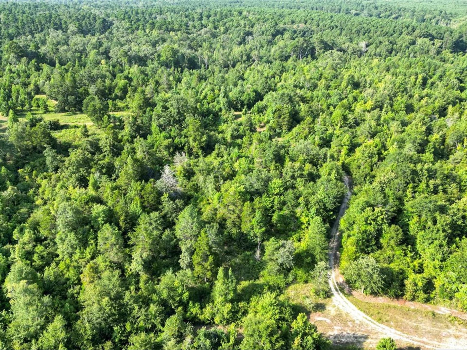 67 acres in Upshur County - photo 16