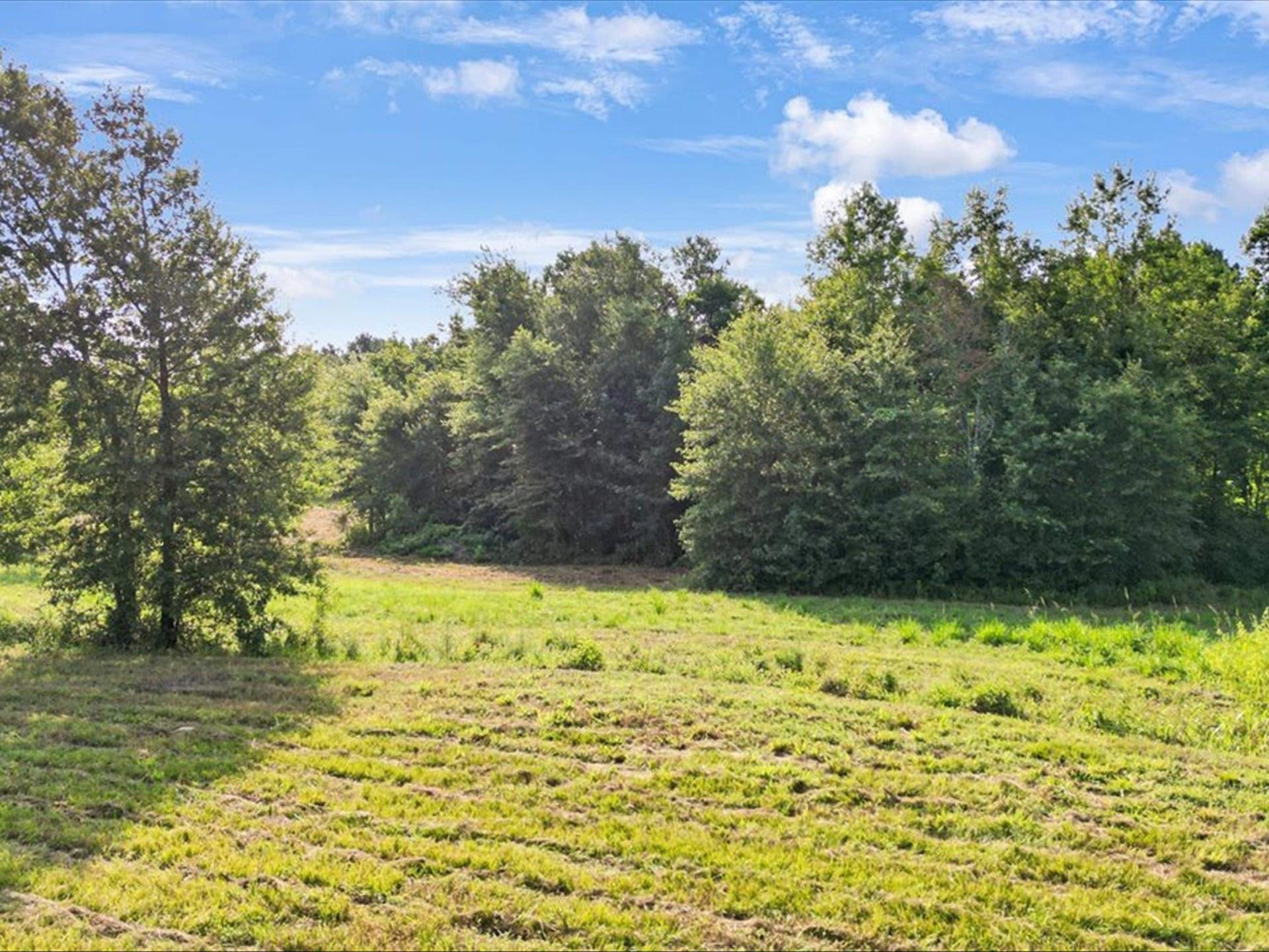 67 acres in Upshur County - photo 12
