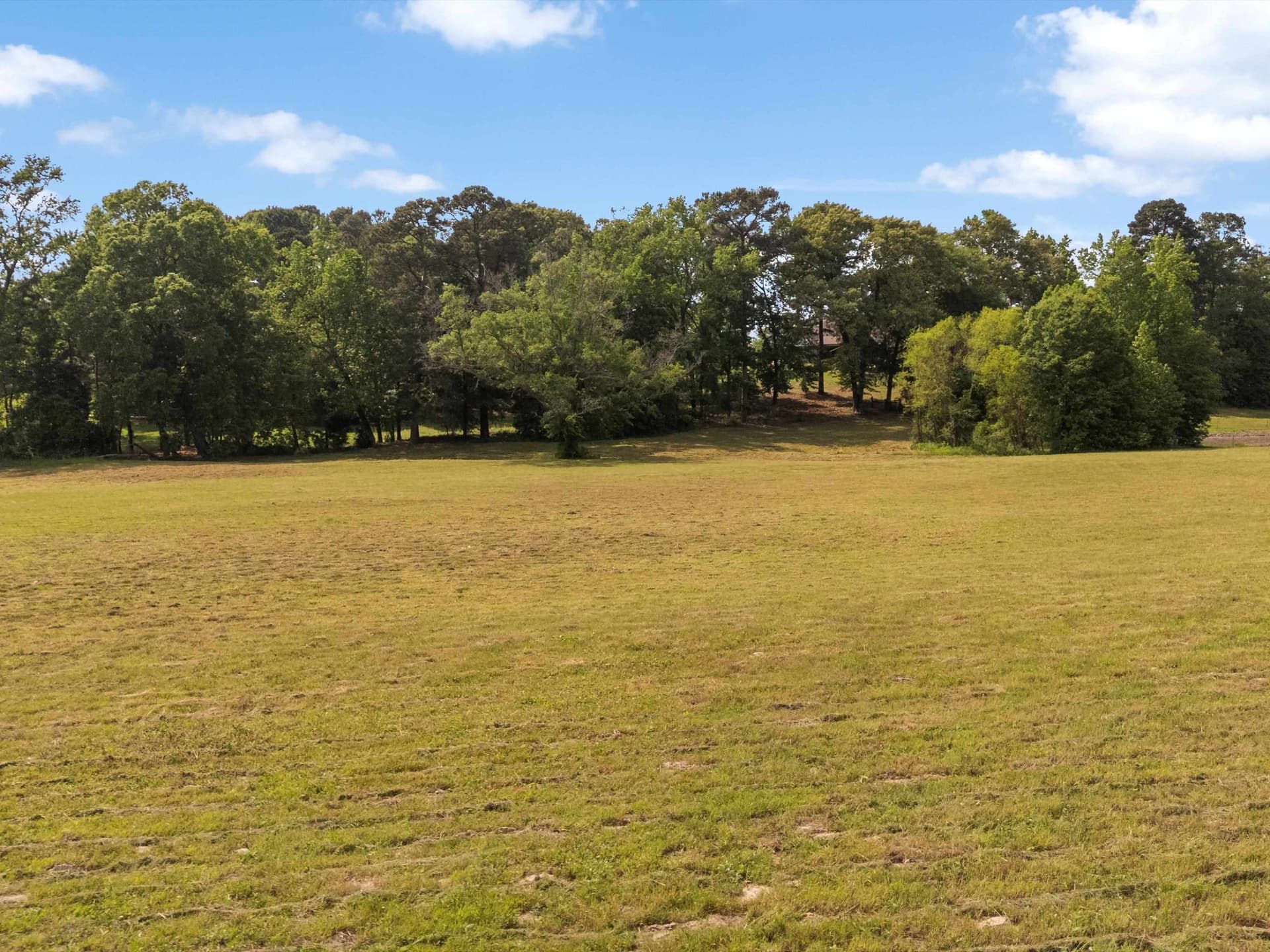 67 acres in Upshur County - photo 6