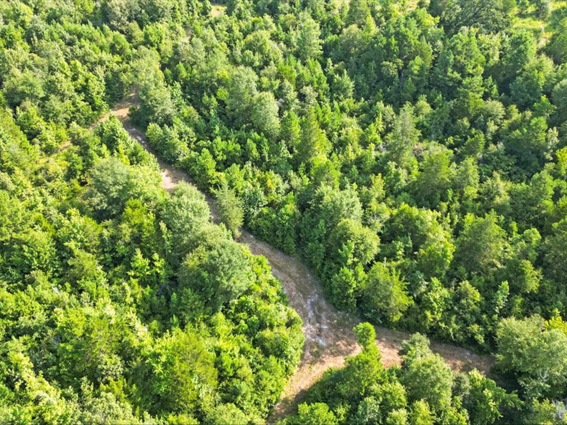 67 acres in Upshur County - photo 14