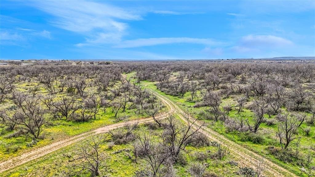 316 acres in Coke County gallery image 4