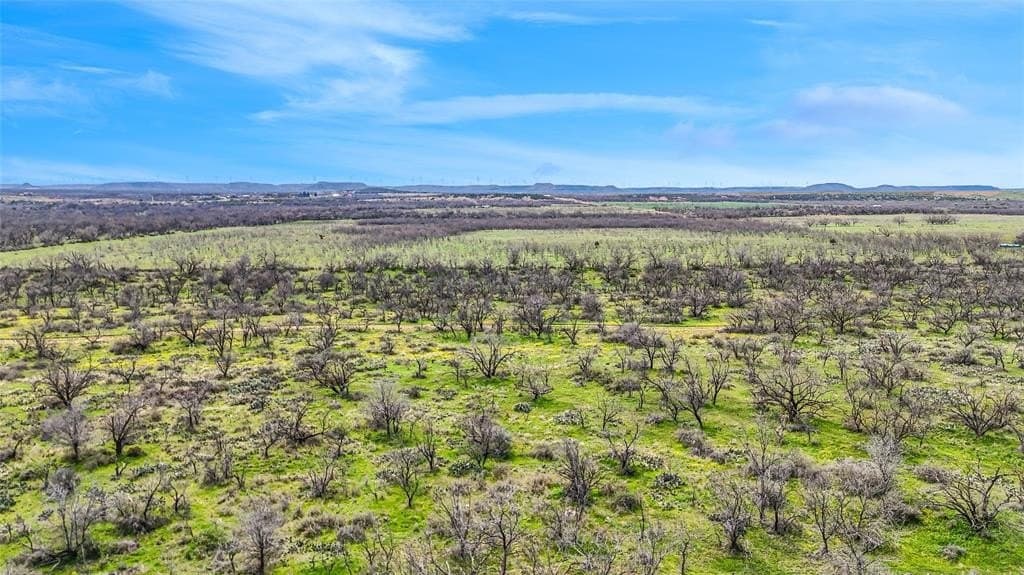316 acres in Coke County gallery image 2