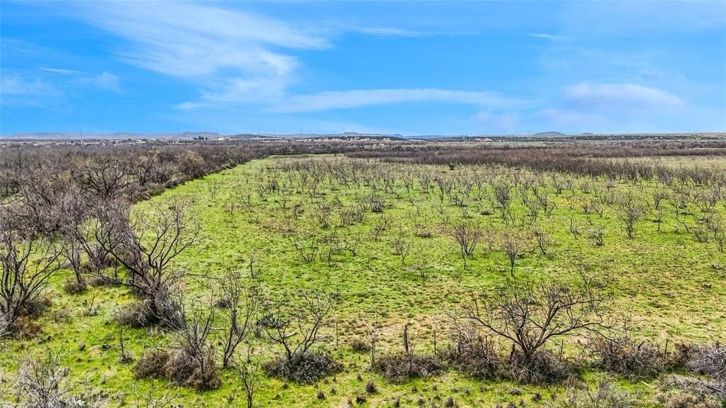 316 acres in Coke County featured view