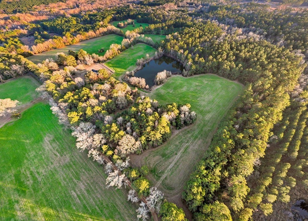 125 acres in Texas County featured view