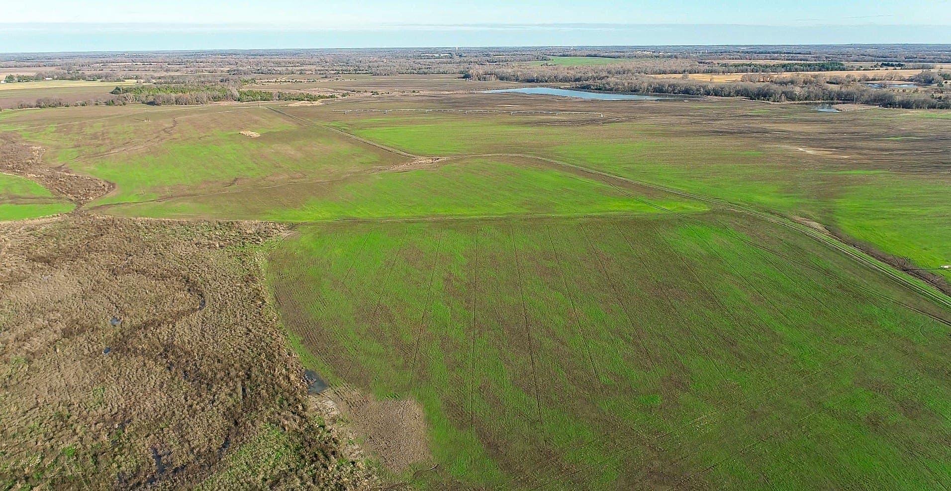 1,229 acres in Red River (TX) County - photo 14