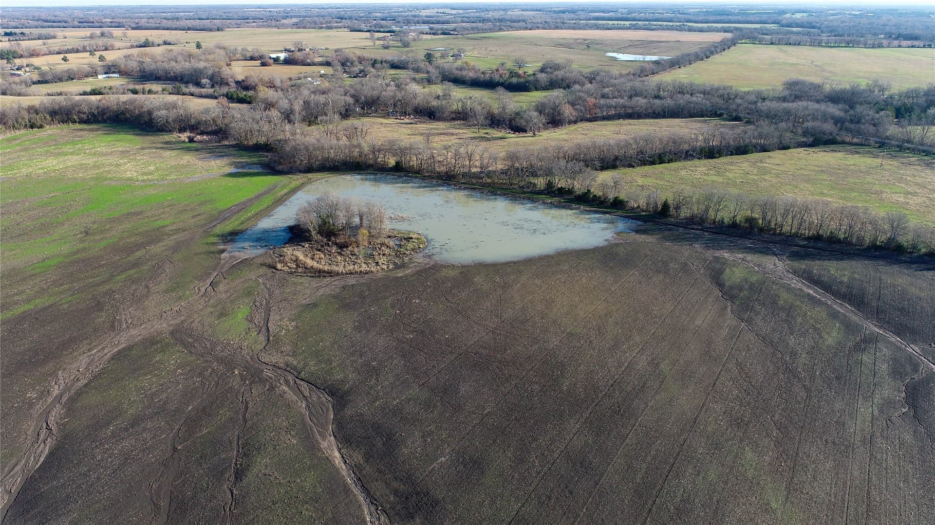 1,229 acres in Red River (TX) County - photo 6