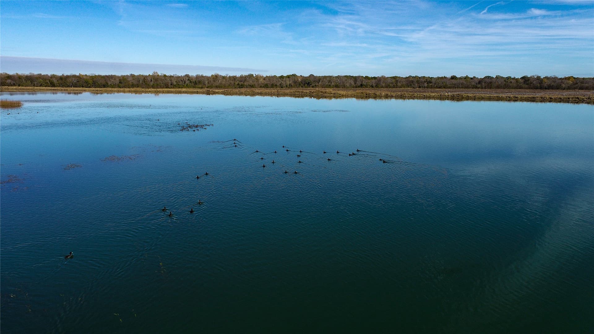 1,229 acres in Red River (TX) County - photo 18