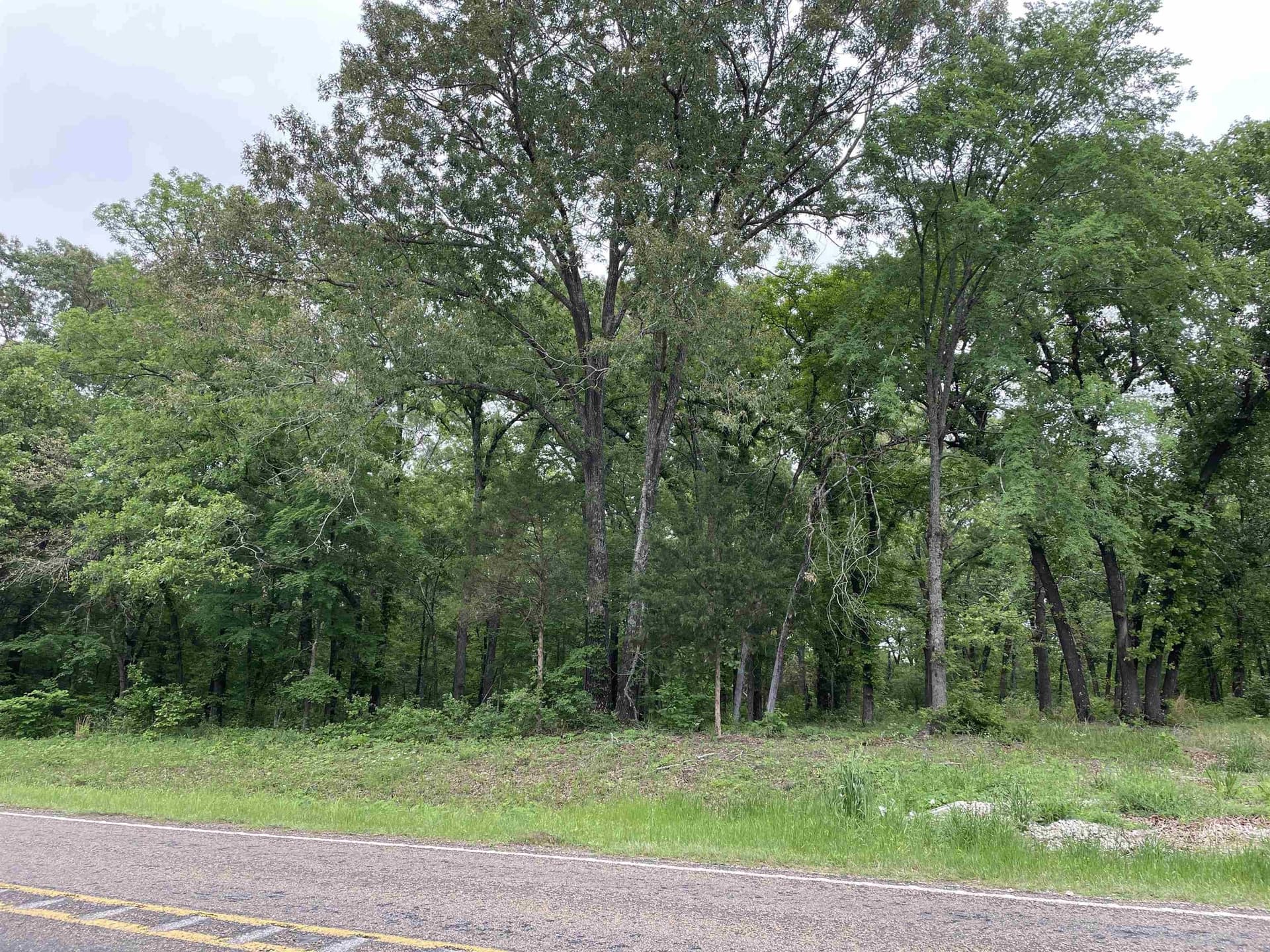 12.05 acres in Henderson County gallery image 4