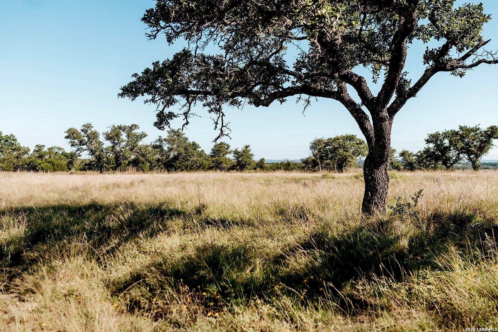 13.12 acres in Gillespie County - photo 9