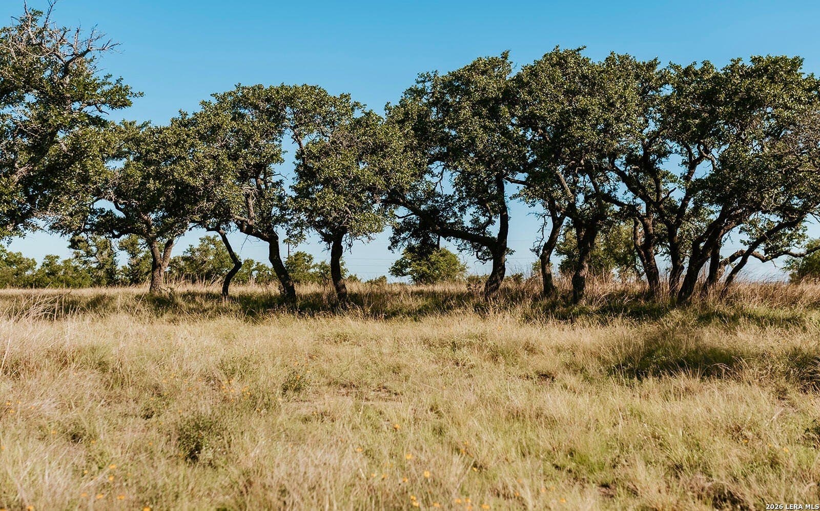 13.12 acres in Gillespie County gallery image 4
