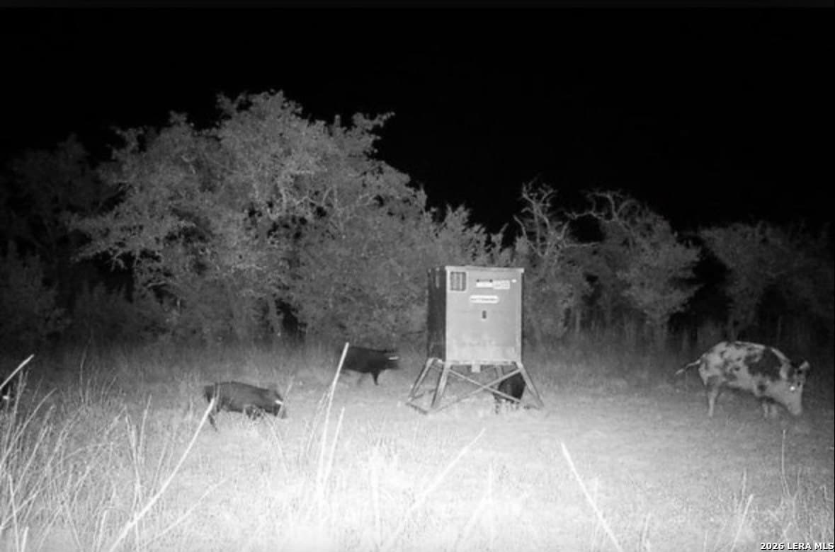 13.12 acres in Gillespie County - photo 19