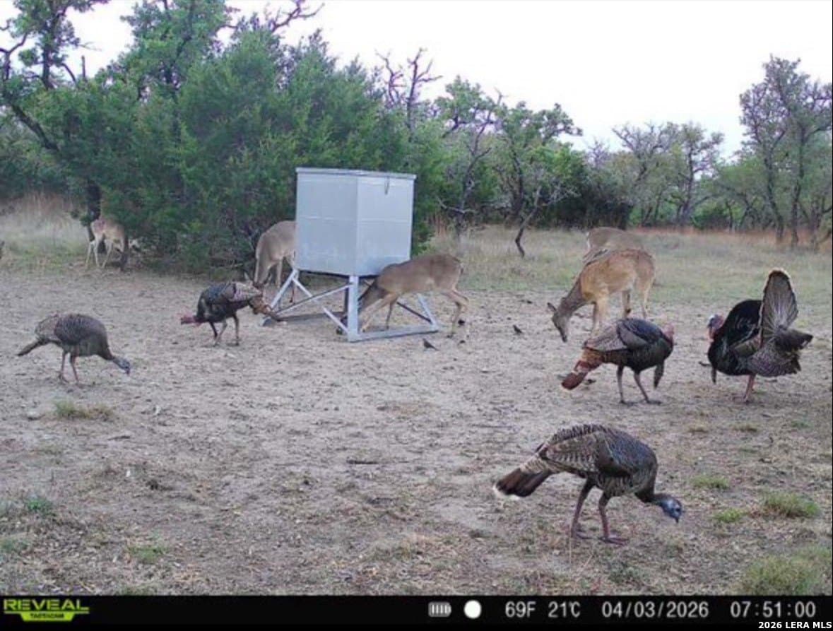 13.12 acres in Gillespie County - photo 15