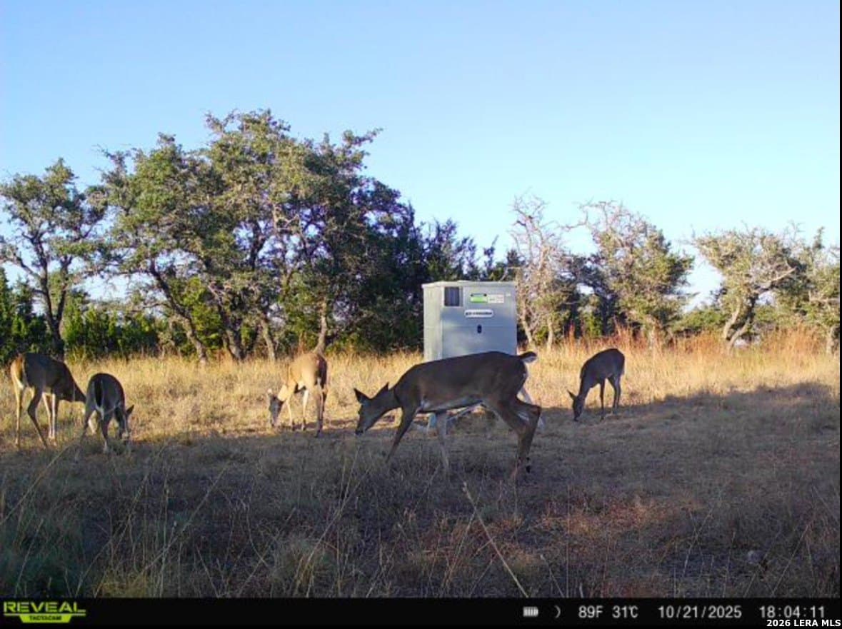 13.12 acres in Gillespie County - photo 17