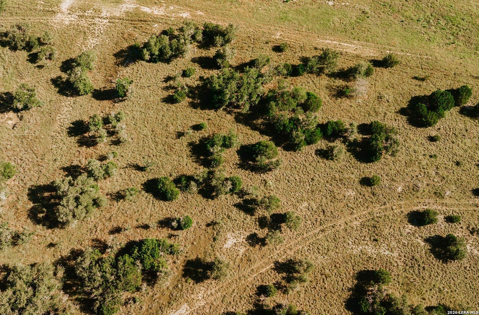 13.12 acres in Gillespie County - photo 13