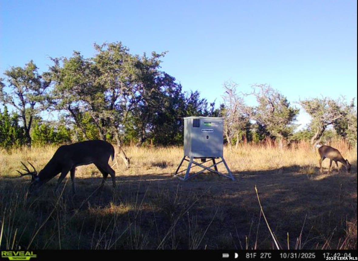 13.12 acres in Gillespie County - photo 18