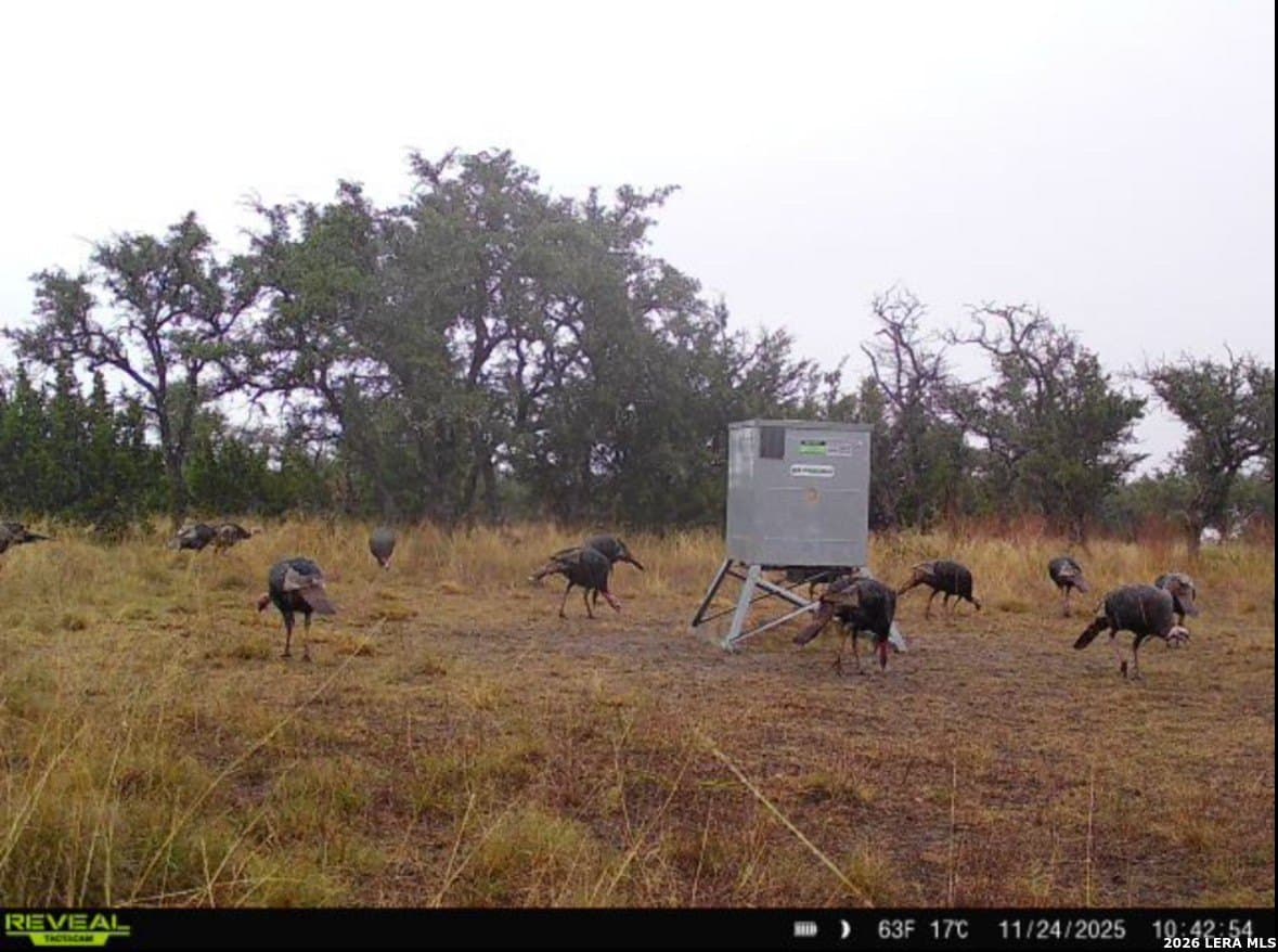 13.12 acres in Gillespie County - photo 16