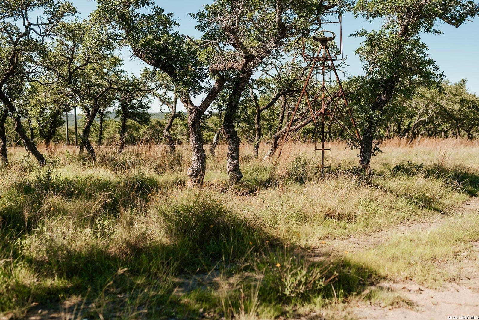 13.12 acres in Gillespie County - photo 6