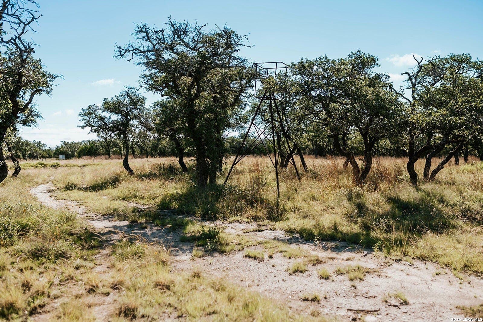 13.12 acres in Gillespie County featured view
