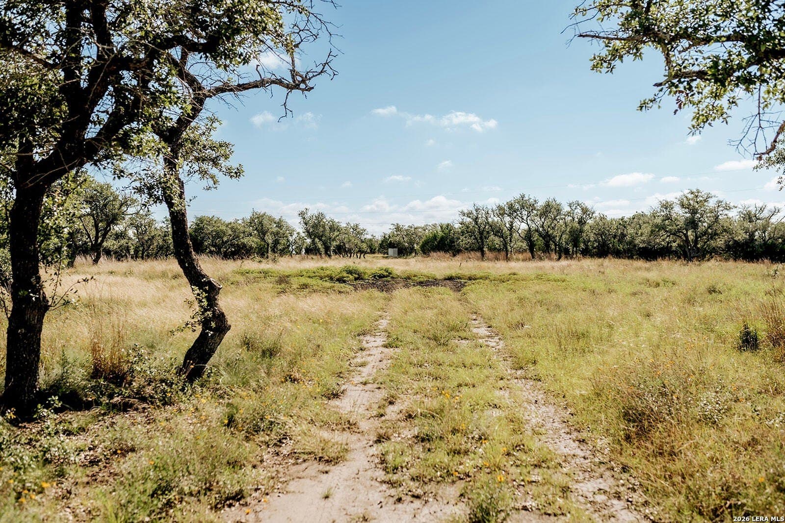 13.12 acres in Gillespie County - photo 10