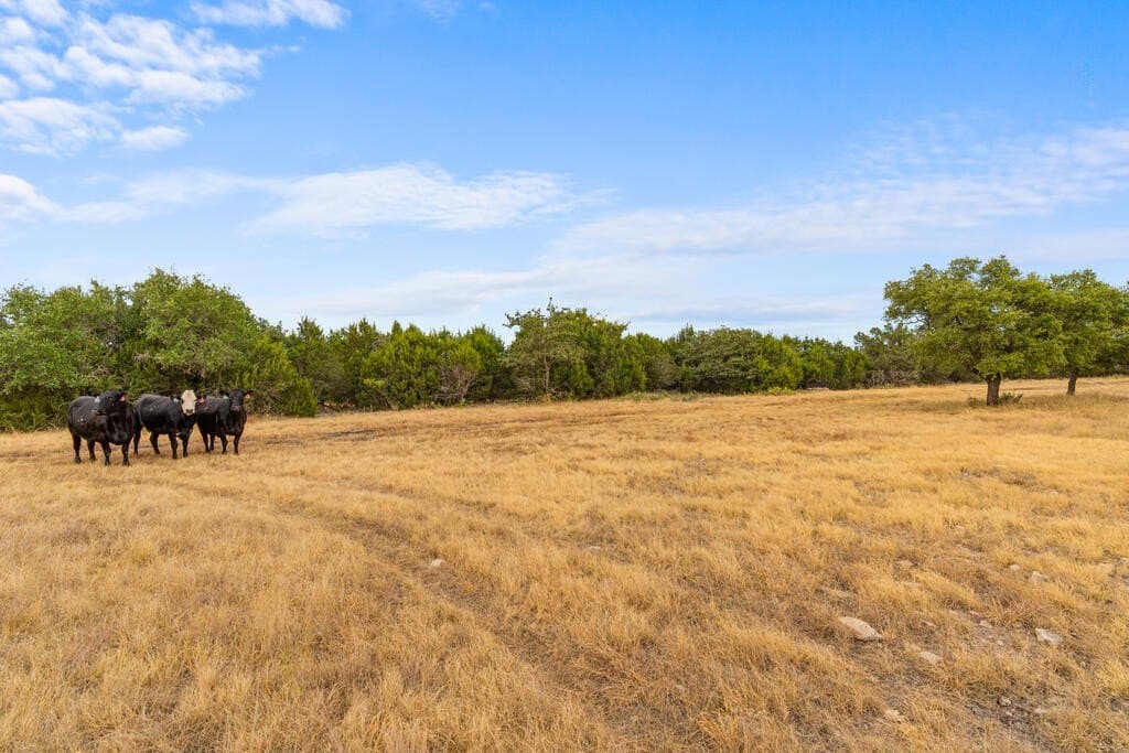 67.04 acres in Kimble County - photo 33