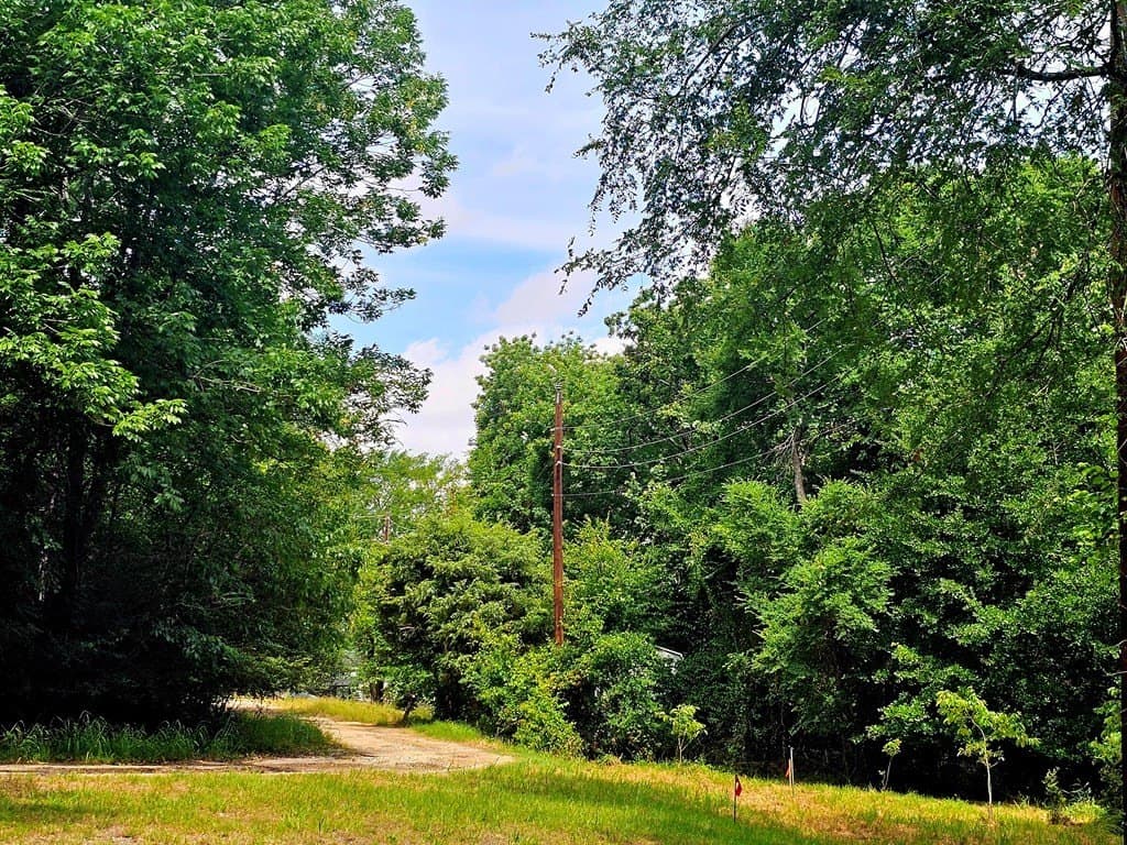 0.46 acres in Henderson County - photo 6