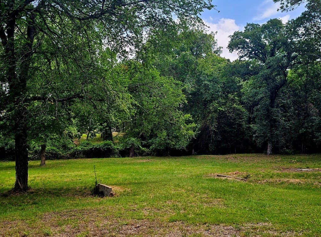 0.46 acres in Henderson County - photo 10