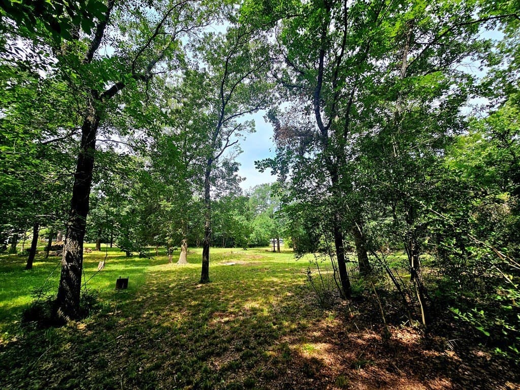 0.46 acres in Henderson County - photo 4