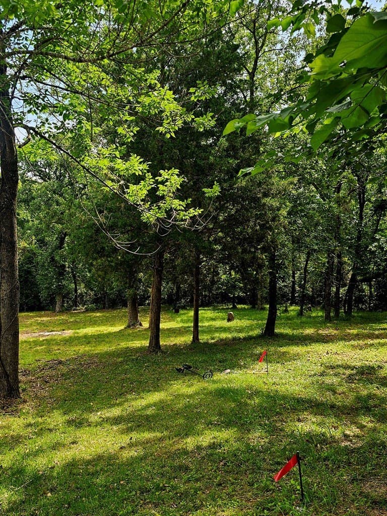 0.46 acres in Henderson County - photo 8