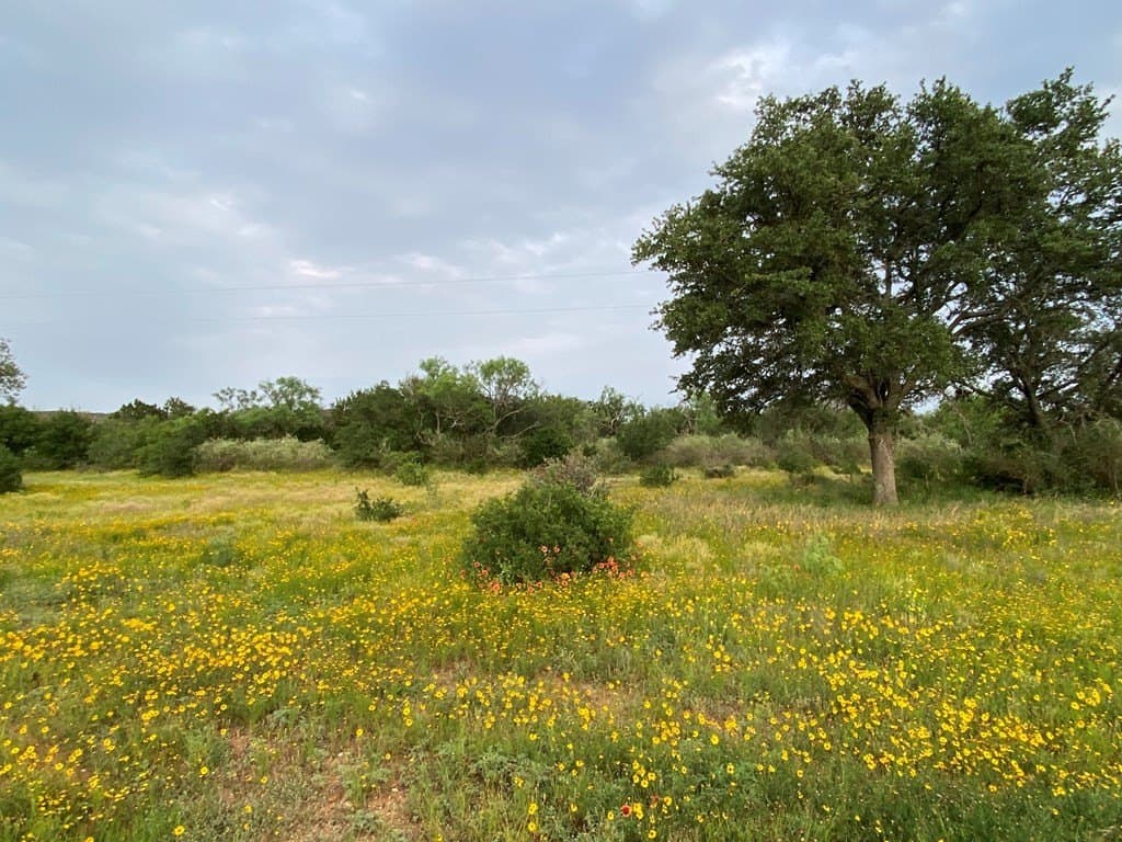 14.55 acres in Gillespie County gallery image 2
