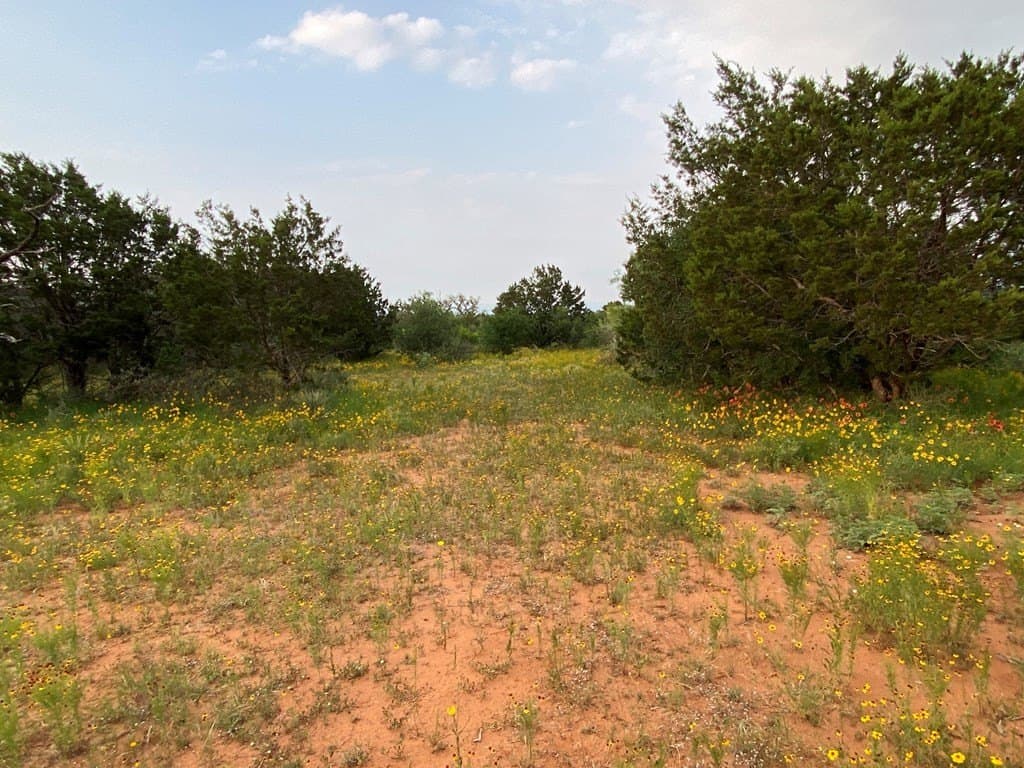 14.55 acres in Gillespie County gallery image 4
