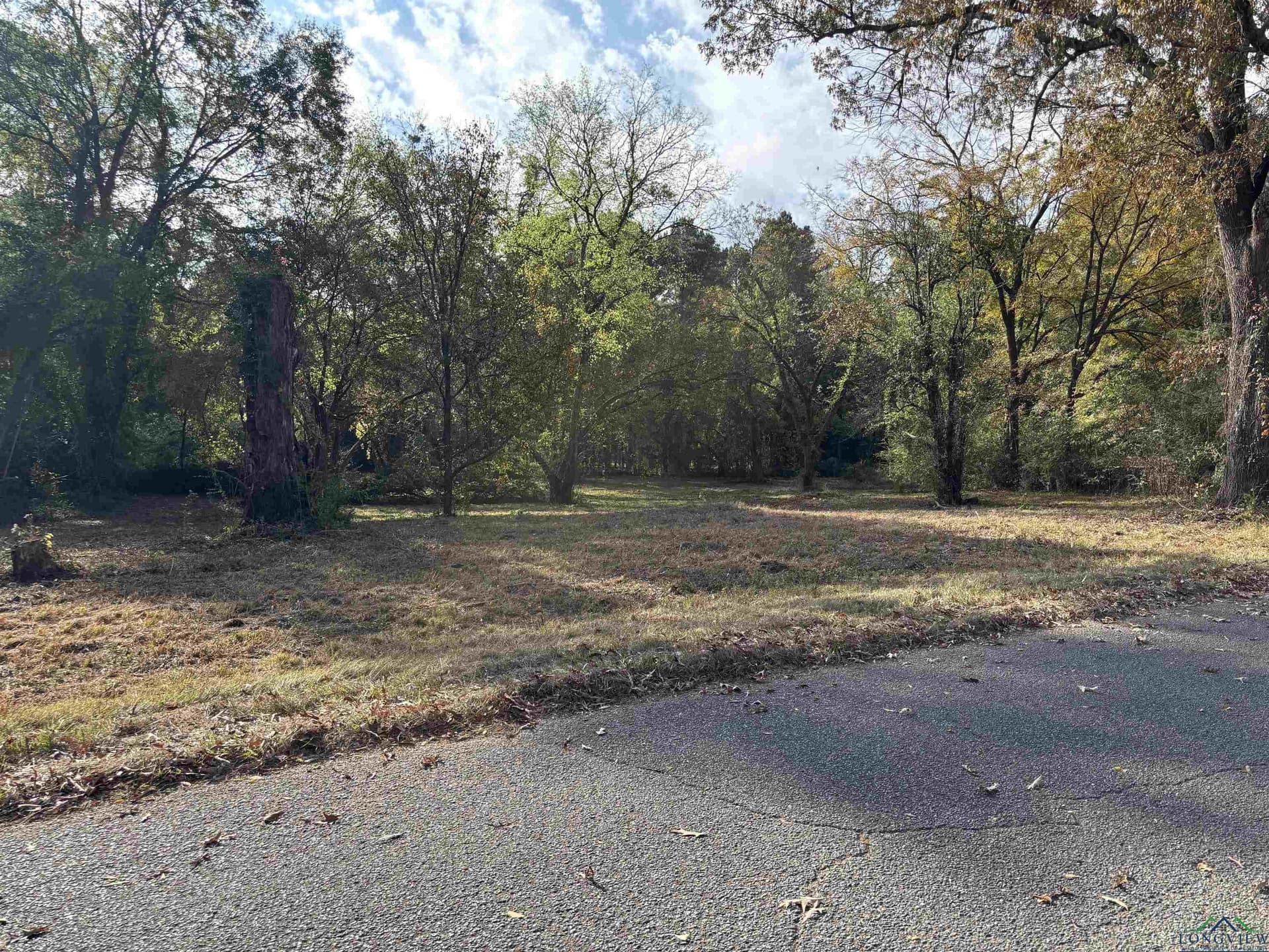 6.96 acres in Gregg County gallery image 2