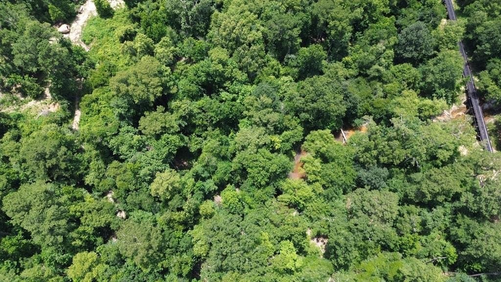 12.38 acres in Texas County - photo 6