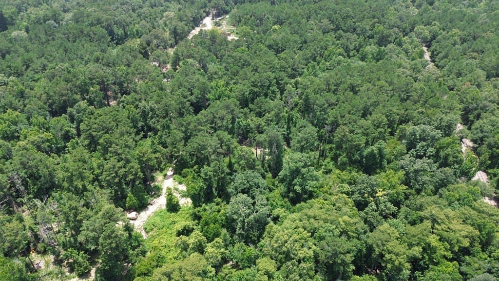 12.38 acres in Texas County - photo 10