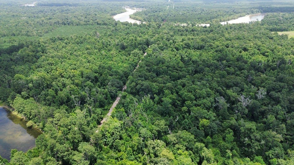 12.38 acres in Texas County - photo 9