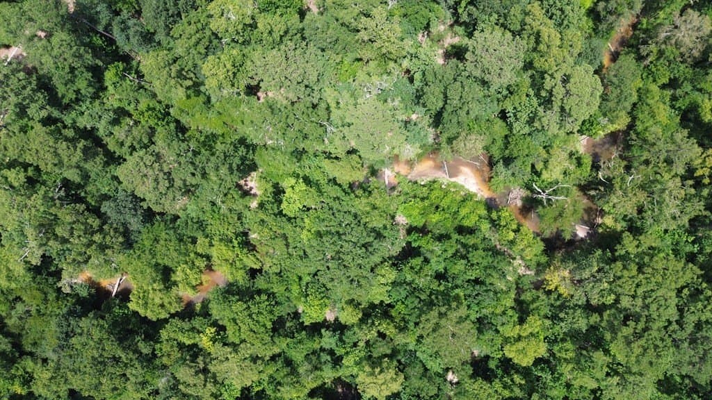 12.38 acres in Texas County - photo 12