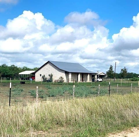 17 acres in Jim Wells County gallery image 2