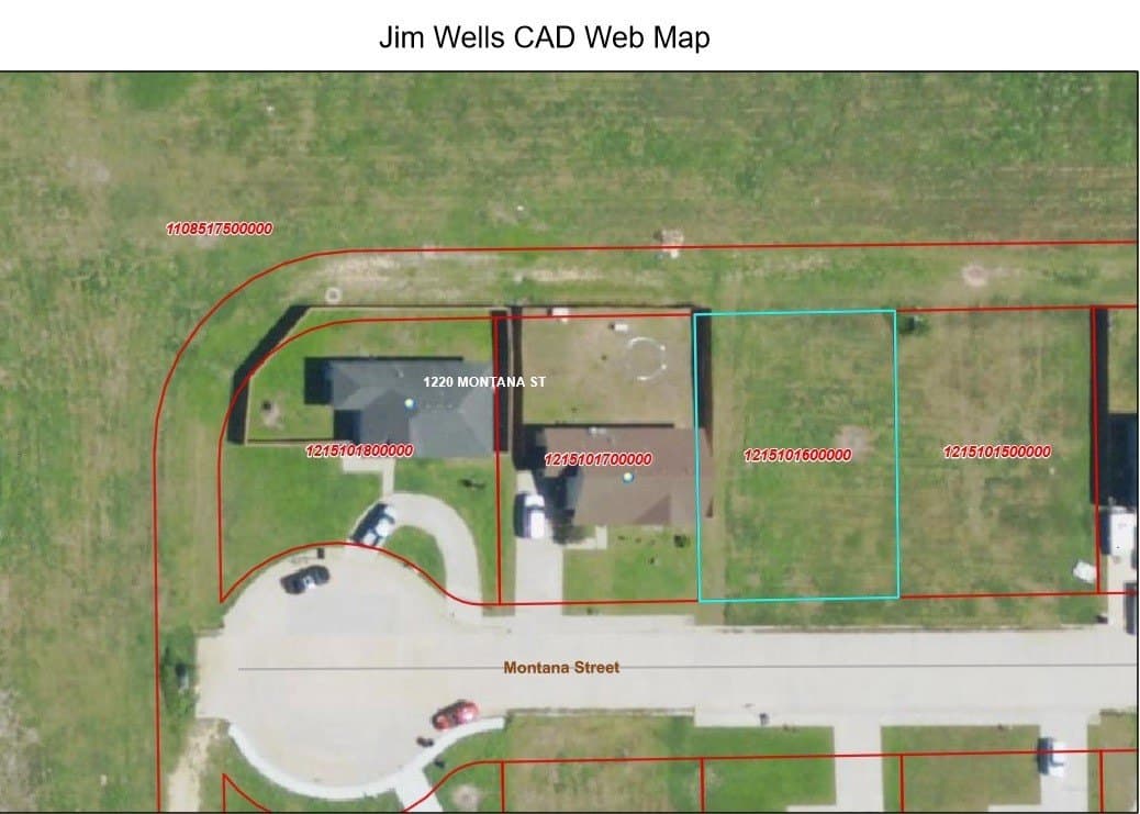 0.16 acres in Jim Wells County gallery image 2