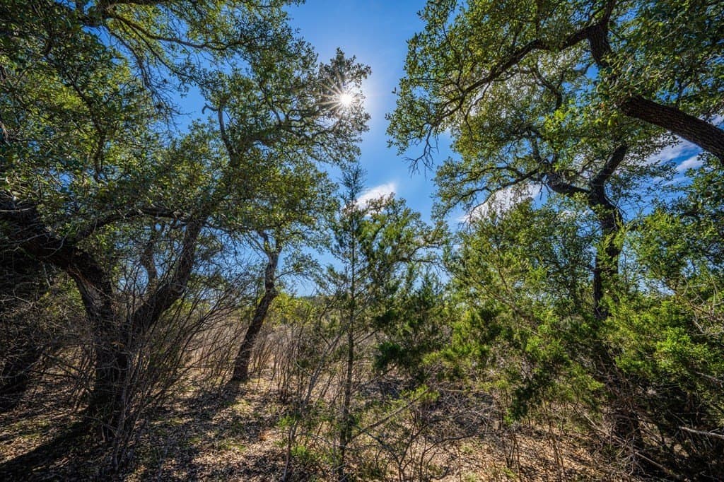 37.88 acres in Kerr County - photo 19