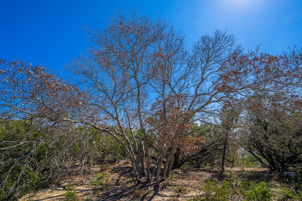 37.88 acres in Kerr County - photo 16