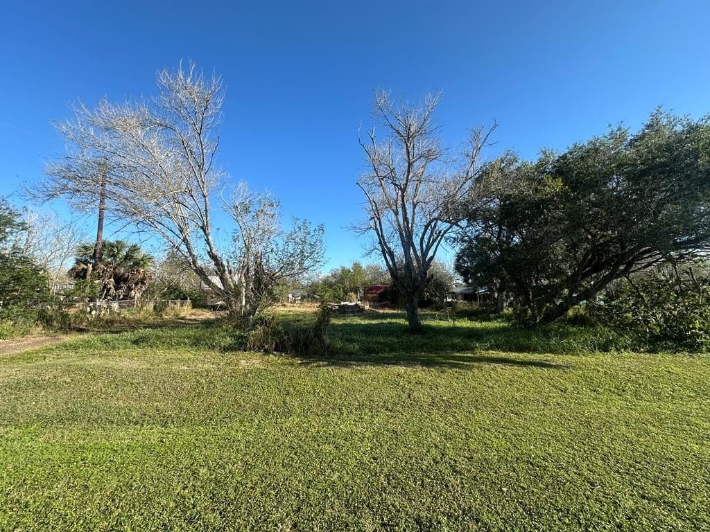 0 acres in Cameron County gallery image 4