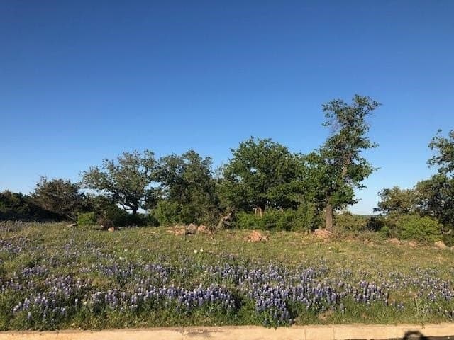 1.05 acres in Llano County - photo 5