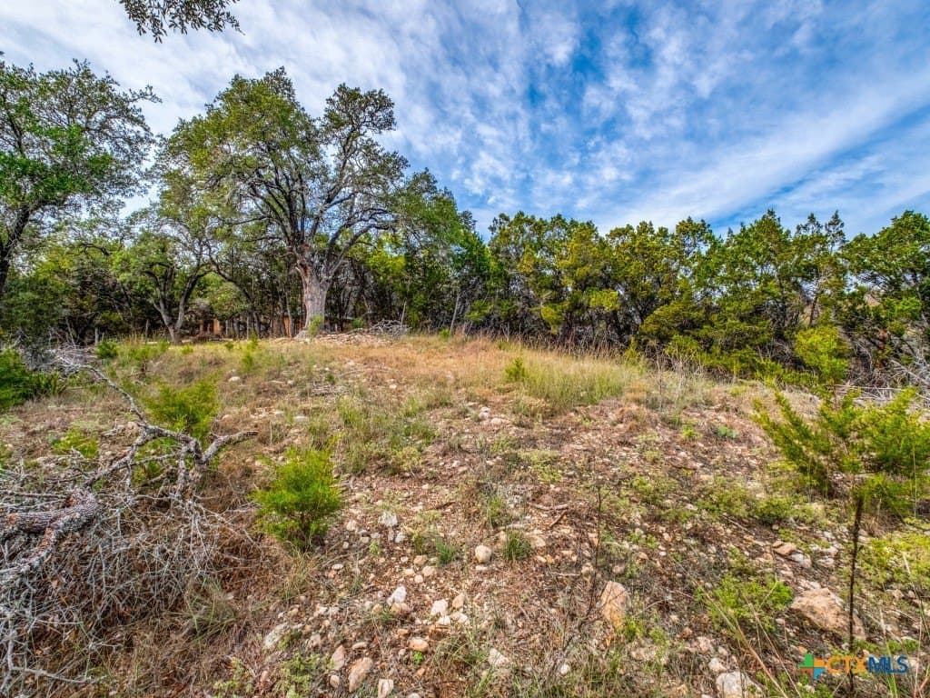 0.36 acres in Hays County - photo 6