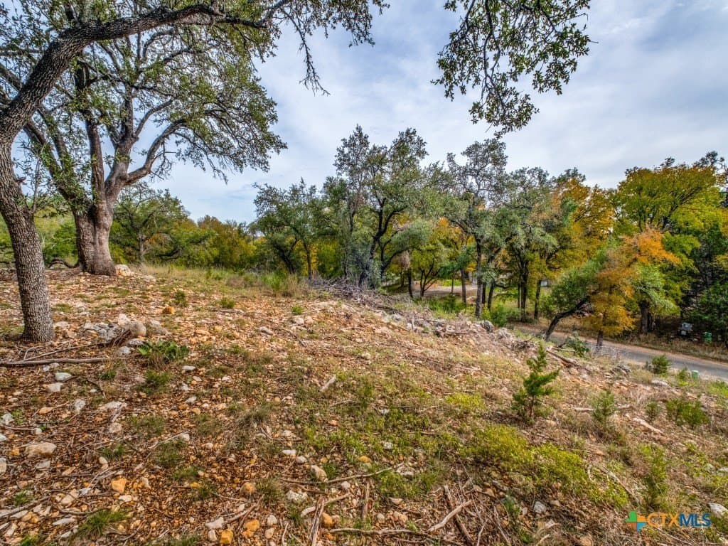0.36 acres in Hays County - photo 14