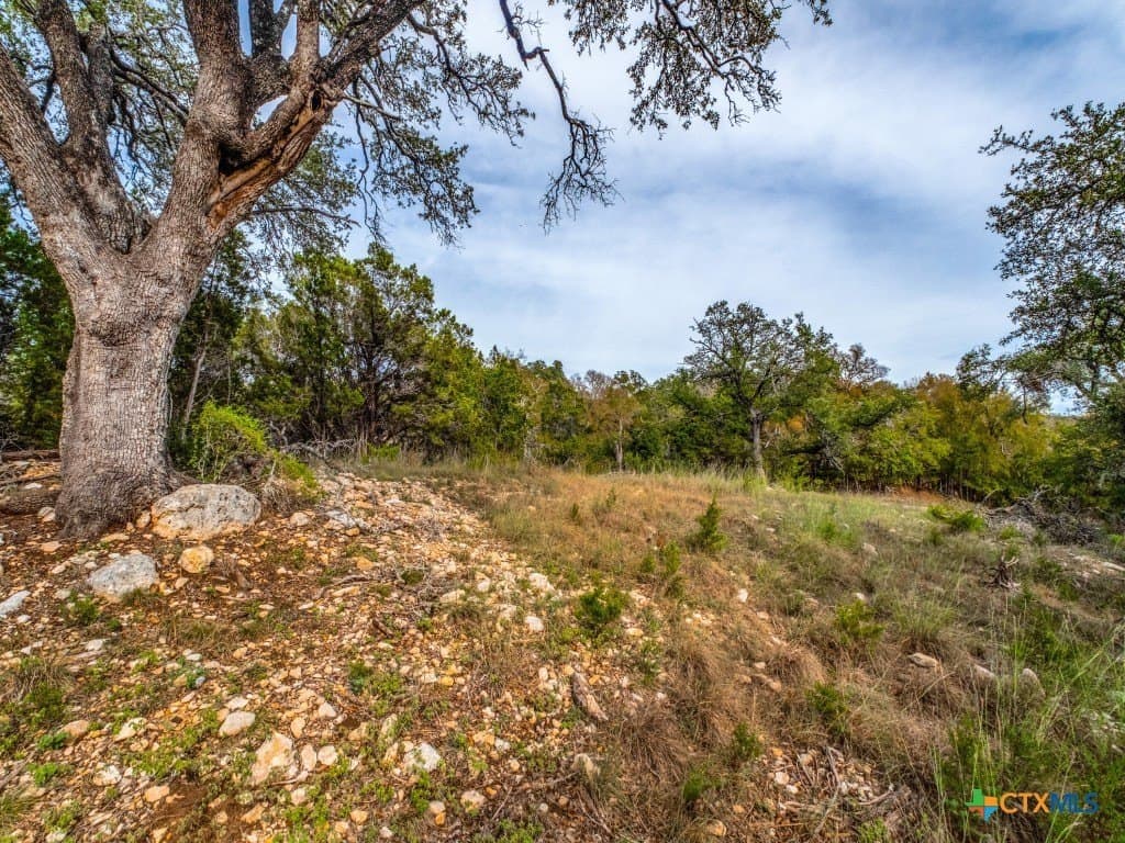 0.36 acres in Hays County gallery image 2