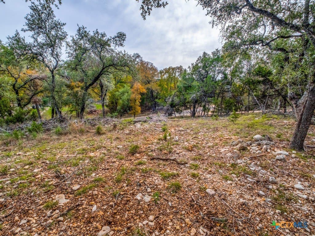 0.36 acres in Hays County featured view