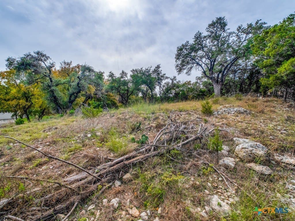 0.36 acres in Hays County gallery image 3