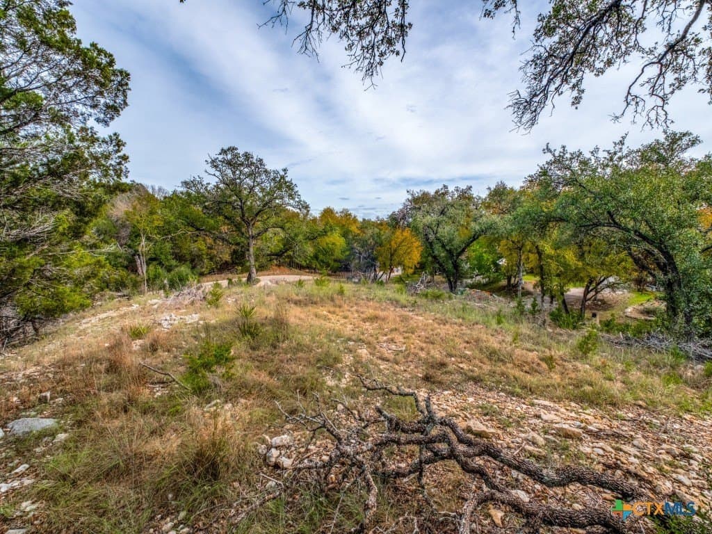 0.36 acres in Hays County gallery image 4